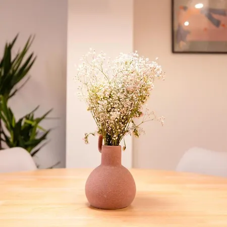 Atuaire Plaza De Espana En El Centro Historico De * Burgo