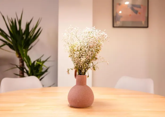 Atuaire Plaza De Espana En El Centro Historico De * Burgo